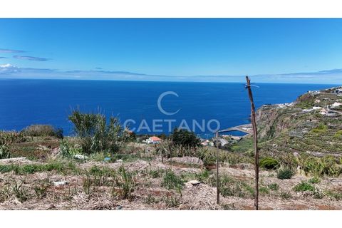 Helårsgrund i Ribeira Brava, Madeira, Ribeira Brava - € 370.000 | Ref: 3308 - foto 17