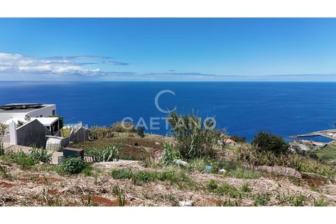 Helårsgrund i Ribeira Brava, Madeira, Ribeira Brava - € 370.000 | Ref: 3308 - foto 21