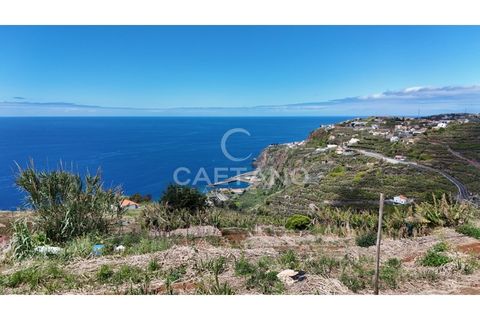 Helårsgrund i Ribeira Brava, Madeira, Ribeira Brava - € 370.000 | Ref: 3308 - foto 22