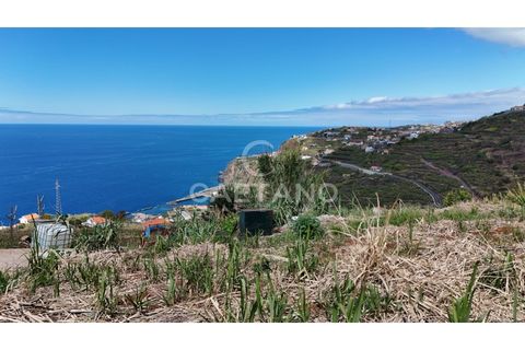 Helårsgrund i Ribeira Brava, Madeira, Ribeira Brava - € 370.000 | Ref: 3308 - foto 23