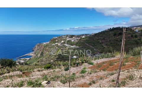 Helårsgrund i Ribeira Brava, Madeira, Ribeira Brava - € 370.000 | Ref: 3308 - foto 24