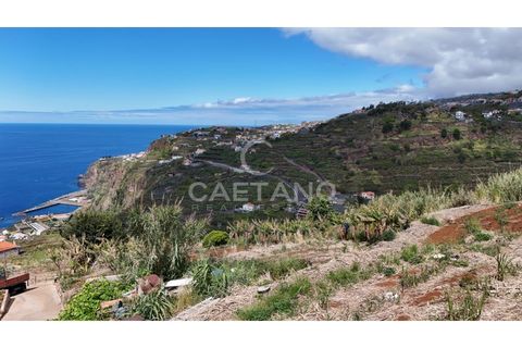 Helårsgrund i Ribeira Brava, Madeira, Ribeira Brava - € 370.000 | Ref: 3308 - foto 25