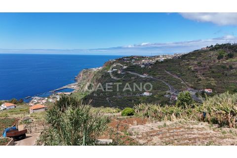 Helårsgrund i Ribeira Brava, Madeira, Ribeira Brava - € 370.000 | Ref: 3308 - foto 26