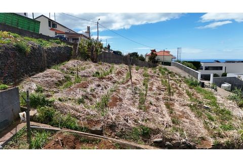 Helårsgrund i Ribeira Brava, Madeira, Ribeira Brava - € 370.000 | Ref: 3308 - foto 27