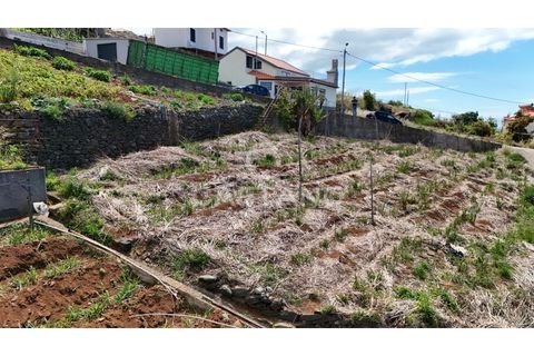 Helårsgrund i Ribeira Brava, Madeira, Ribeira Brava - € 370.000 | Ref: 3308 - foto 28