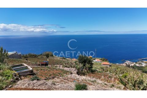 Helårsgrund i Ribeira Brava, Madeira, Ribeira Brava - € 370.000 | Ref: 3308 - foto 30