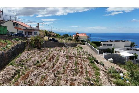 Helårsgrund i Ribeira Brava, Madeira, Ribeira Brava - € 370.000 | Ref: 3308 - foto 32