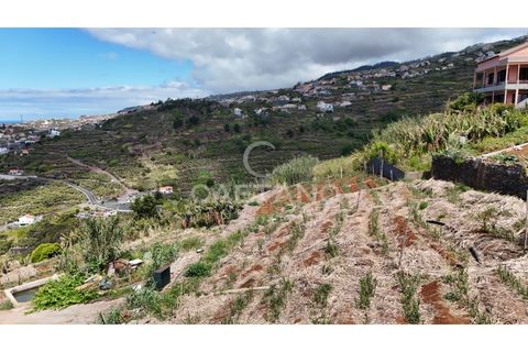 Helårsgrund i Ribeira Brava, Madeira, Ribeira Brava - € 370.000 | Ref: 3308 - foto 33