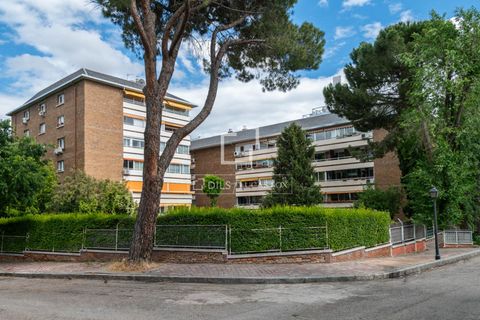 Lejlighed i Madrid, Madrid, Madrid - € 1.380.000 | Ref: MAD69365 - foto 35