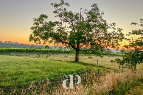 Villa i Condom, Gers, Condom - € 695.000 | Ref: LP99344 - foto 7