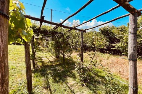 Villa i Somano, Cuneo, Somano - € 395.000 | Ref: D766.26 - foto 10