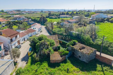 Villa i Alcobaca, Leiria, Alcobaca - € 95.000 | Ref: 0563-01896 - foto 2
