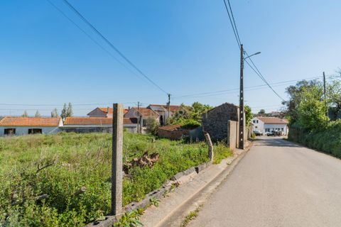 Villa i Alcobaca, Leiria, Alcobaca - € 95.000 | Ref: 0563-01896 - foto 4