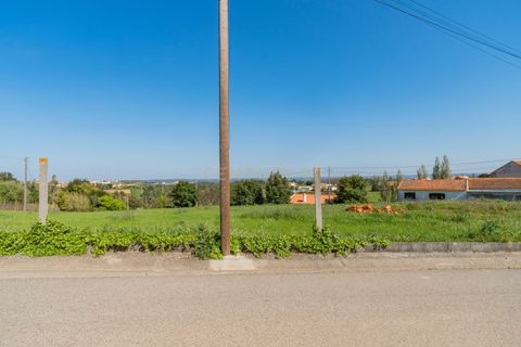 Villa i Alcobaca, Leiria, Alcobaca - € 95.000 | Ref: 0563-01896 - foto 5