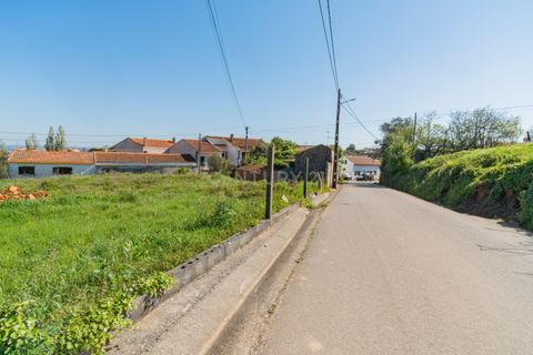 Villa i Alcobaca, Leiria, Alcobaca - € 95.000 | Ref: 0563-01896 - foto 6