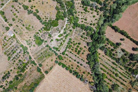 Helårsgrund i Paderne, Faro, Paderne - € 55.000 | Ref: C0507-00358 - foto 1