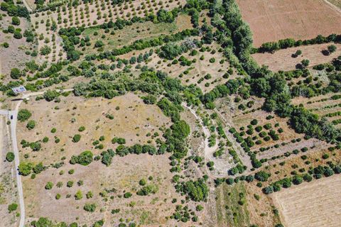 Helårsgrund i Paderne, Faro, Paderne - € 55.000 | Ref: C0507-00358 - foto 5