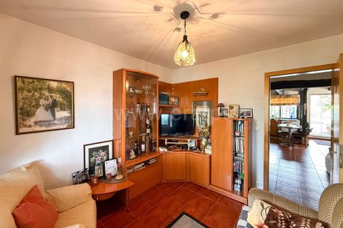 Landejendom i Trancoso, Guarda, Trancoso - € 269.000 | Ref: 352260080 - foto 29