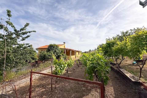 Landejendom i Trancoso, Guarda, Trancoso - € 269.000 | Ref: 352260080 - foto 34