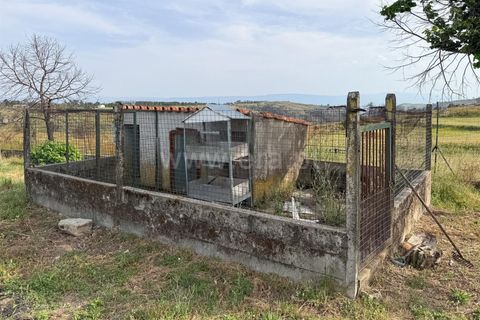 Landejendom i Trancoso, Guarda, Trancoso - € 269.000 | Ref: 352260080 - foto 37