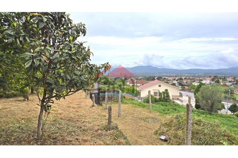 Villa i Viana do Castelo, Viana do Castelo, Viana do Castelo - € 130.000 | Ref: M608 - foto 20