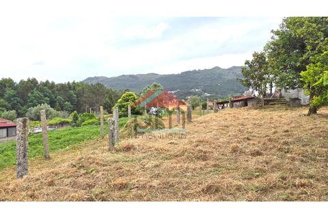 Villa i Viana do Castelo, Viana do Castelo, Viana do Castelo - € 130.000 | Ref: M608 - foto 23