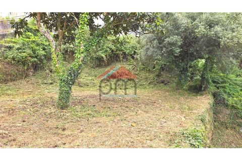 Villa i Viana do Castelo, Viana do Castelo, Viana do Castelo - € 130.000 | Ref: M608 - foto 24