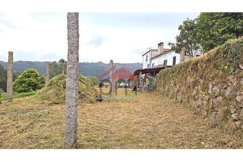 Villa i Viana do Castelo, Viana do Castelo, Viana do Castelo - € 130.000 | Ref: M608 - foto 29