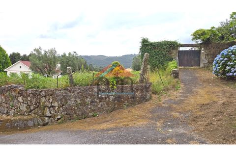 Villa i Viana do Castelo, Viana do Castelo, Viana do Castelo - € 130.000 | Ref: M608 - foto 31