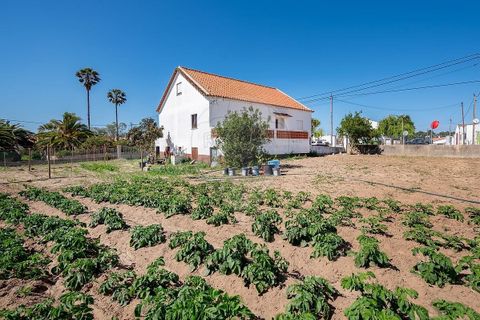 Villa i Rogil, Faro, Rogil - € 650.000 | Ref: ON-123041058-65 - foto 13