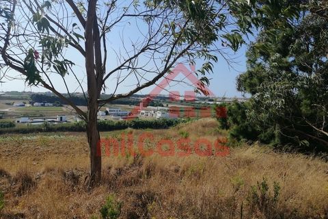 Helårsgrund i Torres Vedras, Lisbon, Torres Vedras - € 68.500 | Ref: M3344 TVD (2) - foto 6