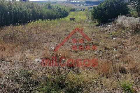 Helårsgrund i Torres Vedras, Lisbon, Torres Vedras - € 68.500 | Ref: M3344 TVD (2) - foto 7