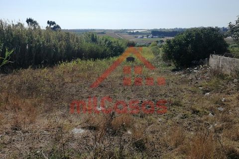 Helårsgrund i Torres Vedras, Lisbon, Torres Vedras - € 68.500 | Ref: M3344 TVD (2) - foto 8