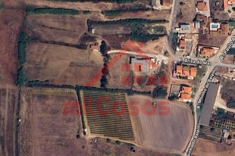 Helårsgrund i Torres Vedras, Lisbon, Torres Vedras - € 68.500 | Ref: M3344 TVD (2) - foto 14