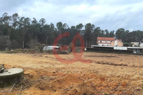 Helårsgrund i Ponte de Lima, Viana do Castelo, Ponte de Lima - € 90.000 | Ref: TER_1514 - foto 3