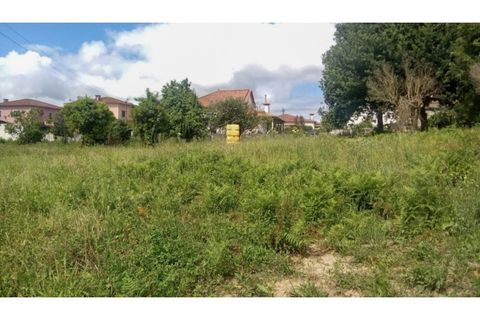 Helårsgrund i Ponte de Lima, Viana do Castelo, Ponte de Lima - € 340.000 | Ref: VCC14745 - foto 3