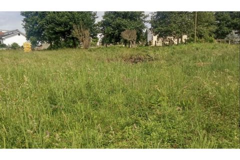 Helårsgrund i Ponte de Lima, Viana do Castelo, Ponte de Lima - € 340.000 | Ref: VCC14745 - foto 4