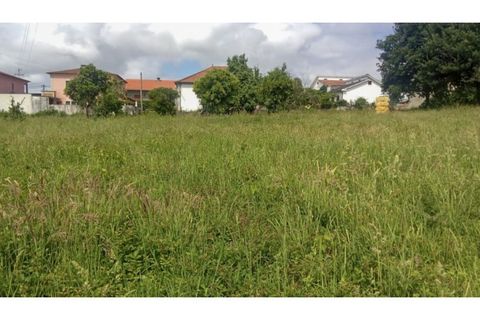 Helårsgrund i Ponte de Lima, Viana do Castelo, Ponte de Lima - € 340.000 | Ref: VCC14745 - foto 5