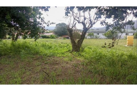 Helårsgrund i Ponte de Lima, Viana do Castelo, Ponte de Lima - € 340.000 | Ref: VCC14745 - foto 9