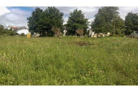 Helårsgrund i Ponte de Lima, Viana do Castelo, Ponte de Lima - € 340.000 | Ref: VCC14745 - foto 17