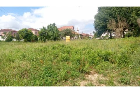 Helårsgrund i Ponte de Lima, Viana do Castelo, Ponte de Lima - € 340.000 | Ref: VCC14745 - foto 19