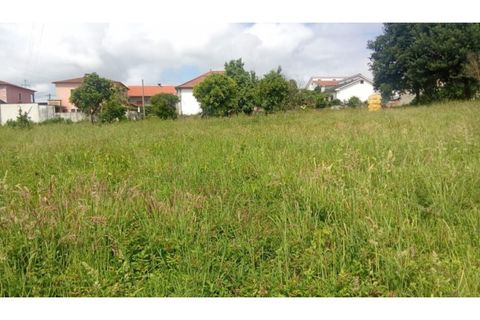 Helårsgrund i Ponte de Lima, Viana do Castelo, Ponte de Lima - € 340.000 | Ref: VCC14745 - foto 22
