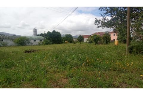 Helårsgrund i Ponte de Lima, Viana do Castelo, Ponte de Lima - € 340.000 | Ref: VCC14745 - foto 23