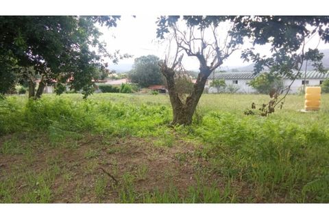 Helårsgrund i Ponte de Lima, Viana do Castelo, Ponte de Lima - € 340.000 | Ref: VCC14745 - foto 24