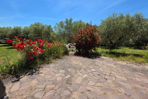 Villa a Caprarola, Viterbo, Caprarola - € 85.000 | Ref: CBI006-7-333104 - foto 16