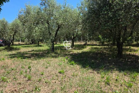 Villa a Caprarola, Viterbo, Caprarola - € 85.000 | Ref: CBI006-7-333104 - foto 17