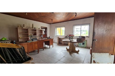 Erhvervsejendom i Alcabideche, Lisbon, Alcabideche - € 2.310.000 | Ref: WS2026/2026 - foto 18