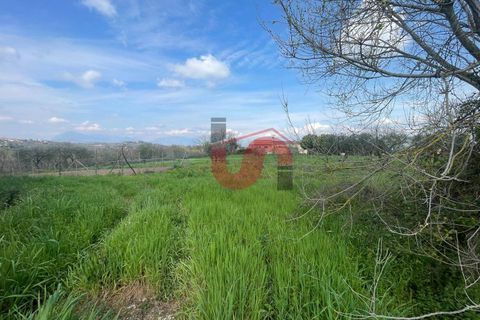 Masia a Benevento, Benevento, Benevento - € 82.000 | Ref: AA39884 - foto 12