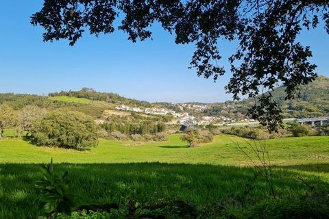 Helårsgrund i Loures, Lisbon, Loures - € 1.070.000 | Ref: T-30844 - foto 2
