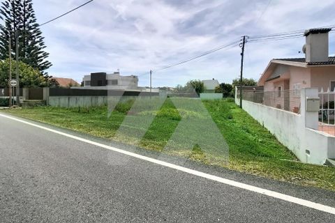 Helårsgrund i Ovar, Aveiro, Ovar - € 98.000 | Ref: 102.1299 - foto 4